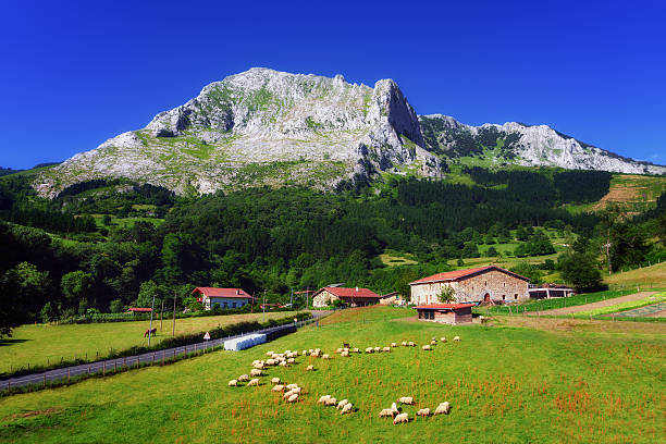 Découvrez les villes et activités du Pays Basque