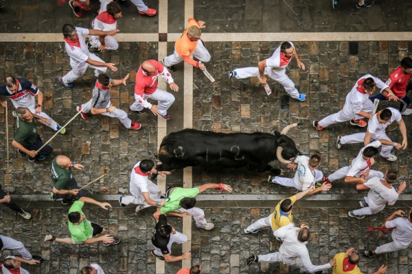 Courses de vache aux fêtes de Bayonne