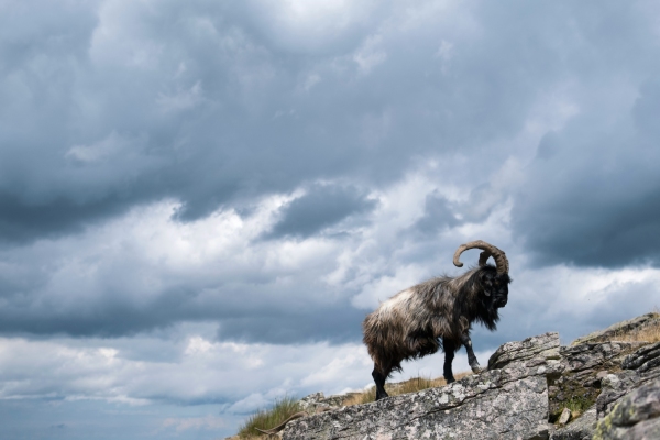 Découvrez les sentiers du GR10 au Pays Basque