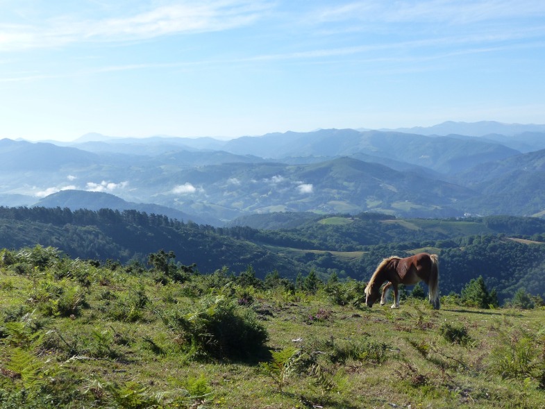 Partez à la découverte de Bidarray lors de votre séjour dans notre camping