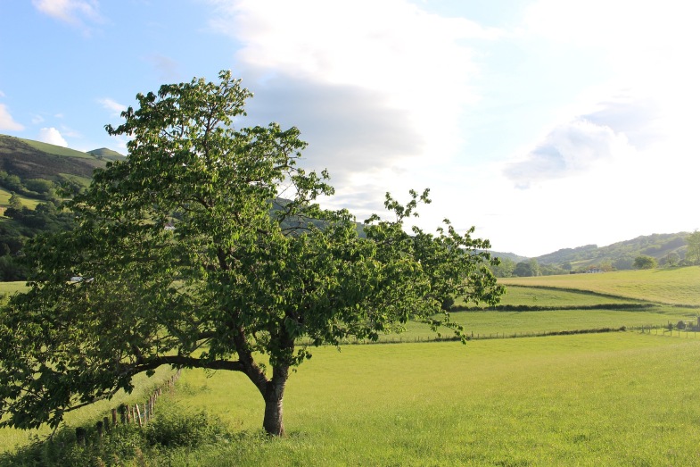 Découvrez le Pays Basque lors de vos vacances dans notre camping d'Itxassou